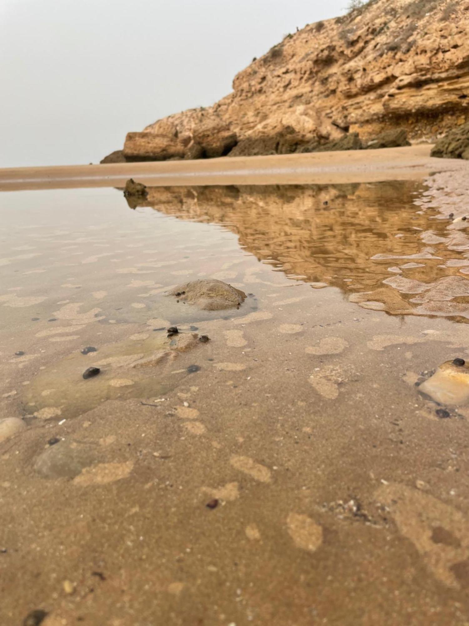 2 Appartements A Tamraght Taghazout Bay Surf Spot Аурир Экстерьер фото